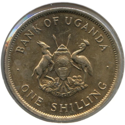 1 Shilling Magnetic front