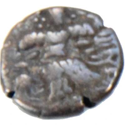 1 Stater - Ananda Deva Kashmir ND back