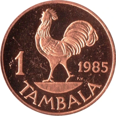 1 Tambala magnetic back