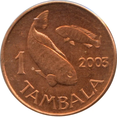 1 Tambala magnetic back