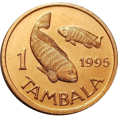 1 Tambala non-magnetic back