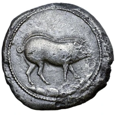 1 Tridrachm Beast series: boar 501 BC - 450 BC front