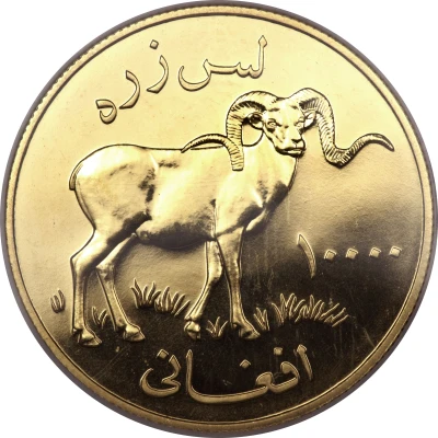 10 000 Afghanis Marco Polo Sheep back