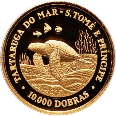 10 000 Dobras Sea Turtle back