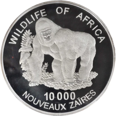 10 000 New Zaïres Gorilla back