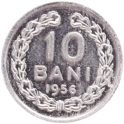 10 Bani Pattern back