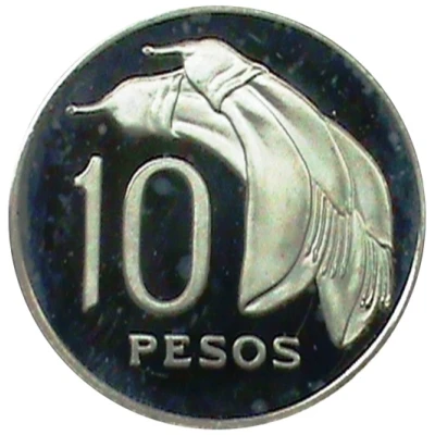 10 Pesos Pattern back