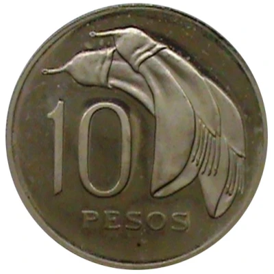 10 Pesos Pattern back