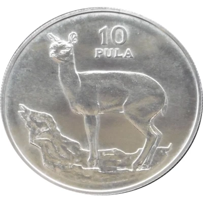 10 Pula Klipspringer back