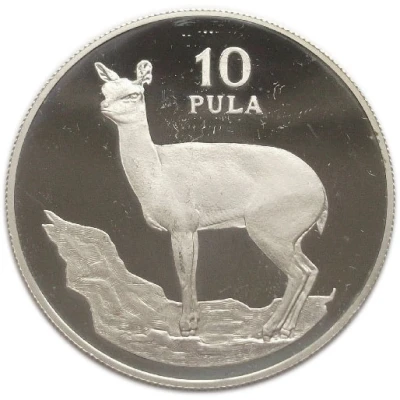 10 Pula Klipspringer back