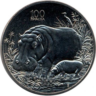 100 Kwacha Hippopotamus back