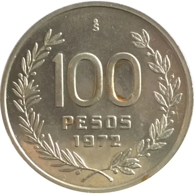 100 Pesos Pattern back