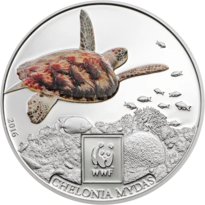 100 Shillings Green Sea Turtle back