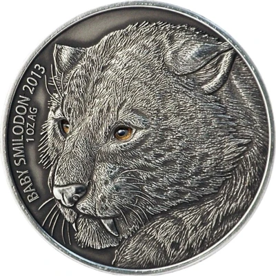 1000 Francs CFA Baby Smilodon back