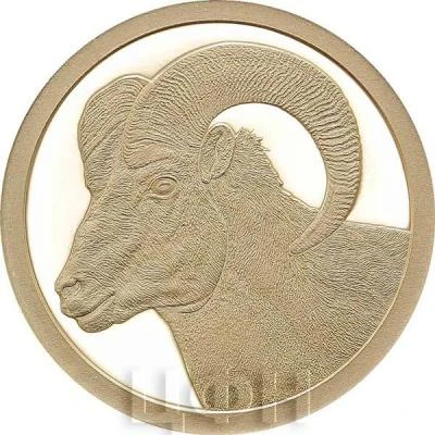 1000 Francs CFA Goat back