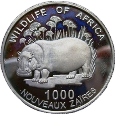 1000 Nouveaux Zaïres Common Hippopotamus back