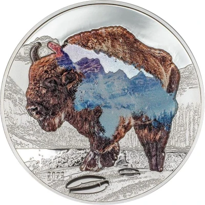 1000 Tögrög Bison back