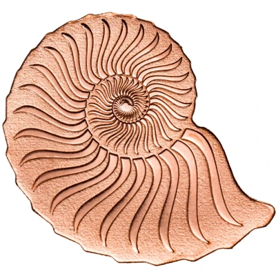 1000 Tögrög Golden Ammonite ND back