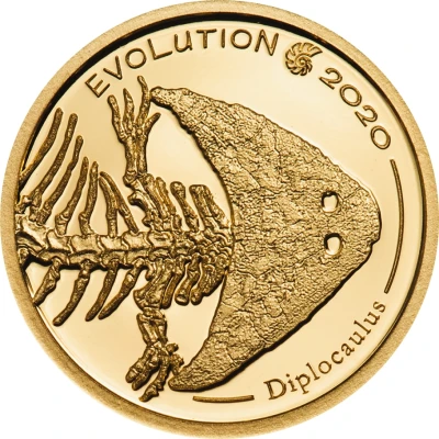 1000 Tögrög Golden Diplocaulus back