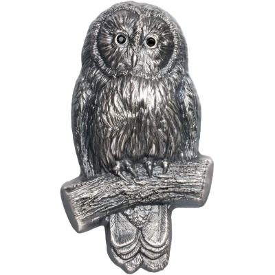 1000 Tögrög Ural Owl back