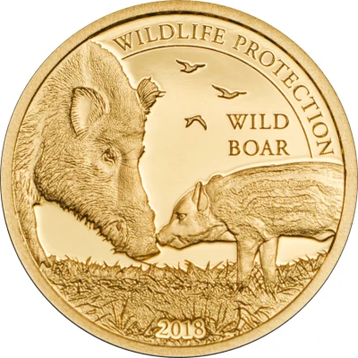 1000 Tögrög Wild Boar back