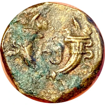 Æ13 - Aretas IV and Phasaelis 6 BC - 18 AD back