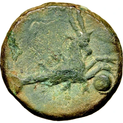 Æ14 Capricorn with globe; Forum Iulii 27 BC back