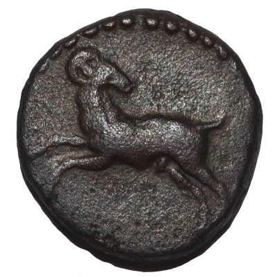 Æ14 - Nectanebo II Levantine region 360 BC - 343 BC back