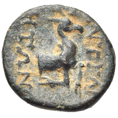 Æ14 200 BC - 1 BC back