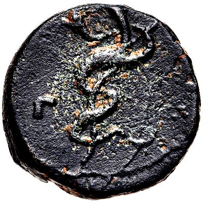 Æ14 88 BC - 50 BC back