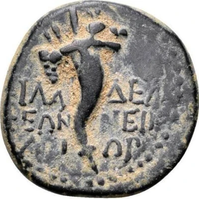 Æ15 - Agrippina II ΦIΛAΔEΛΦEΩN NEIKANΩΡ back