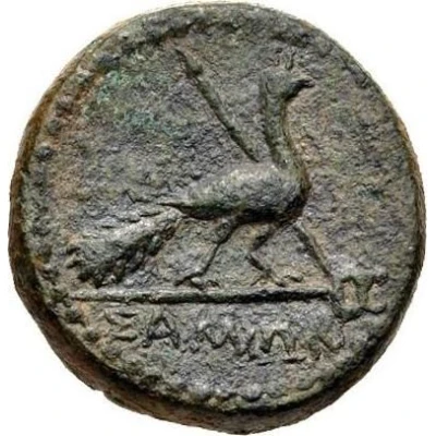 Æ15 - Augustus ΣΑΜΙΩΝ 27 BC - 14 AD back