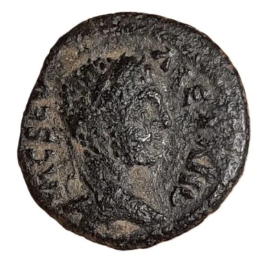 Æ16 - Severus Alexander ANTIOCH COL front