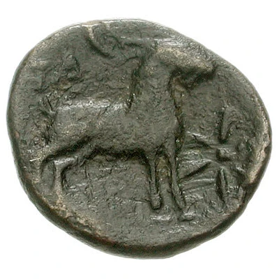 Æ16 325 BC - 275 BC back