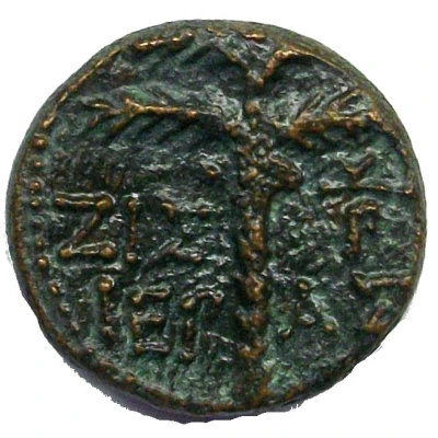 Æ17 - Domitianus Tyre back