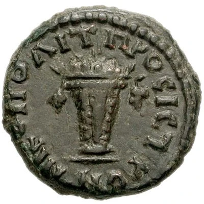 Æ17 - Septimius Severus back