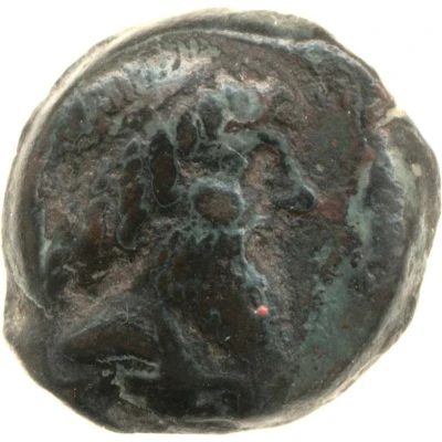 Æ18 - Tiraios II 60 BC - 49 BC front