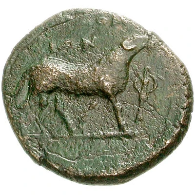 Æ18 381 BC - 301 BC back