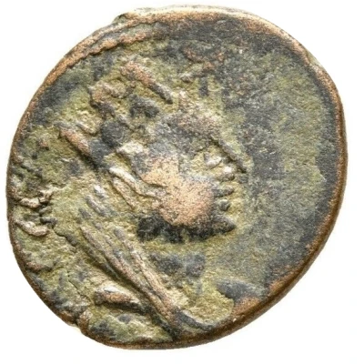 Æ19 - Caracalla COI MET ANTONINIANA AVR ALEX back