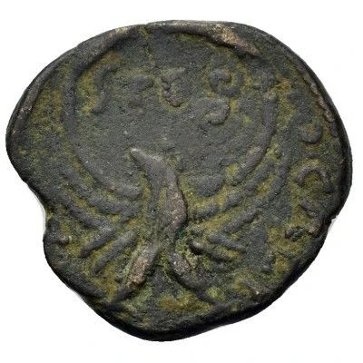 Æ19 - Severus Alexander Caesarea Maritima back