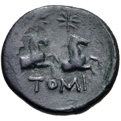 Æ19 200 BC - 101 BC back