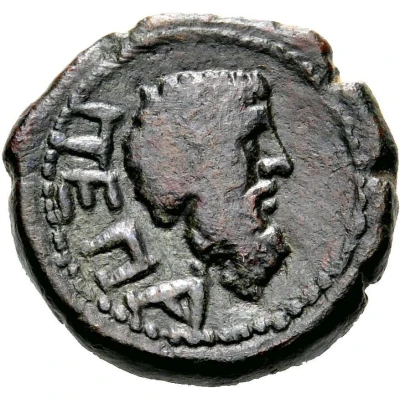 Æ19 27 BC - 14 AD back