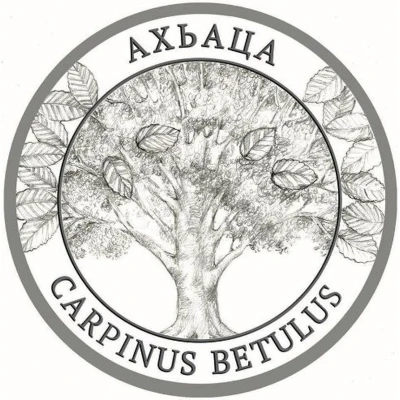 2 Apsars Carpinus betulus back