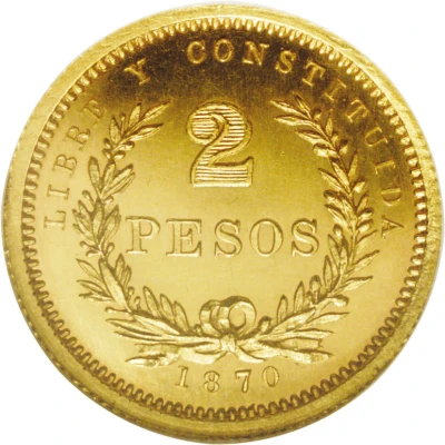 2 Pesos Pattern back