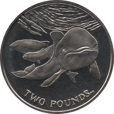 2 Pounds - Elizabeth II The Spectacled Porpoise back