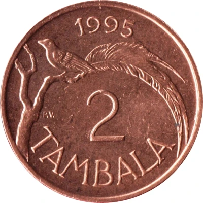 2 Tambala magnetic back