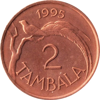 2 Tambala non-magnetic back