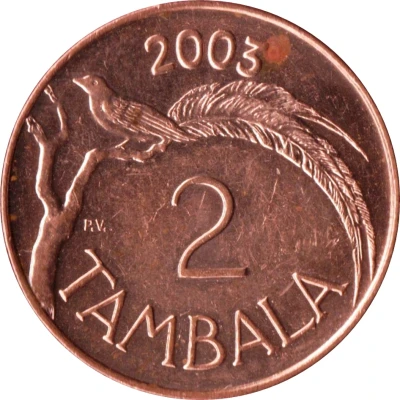 2 Tambala back