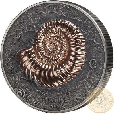 20 000 Tögrög Ammonite back