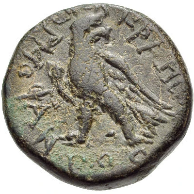 Æ20 - Hermophantos 167 BC - 129 BC back